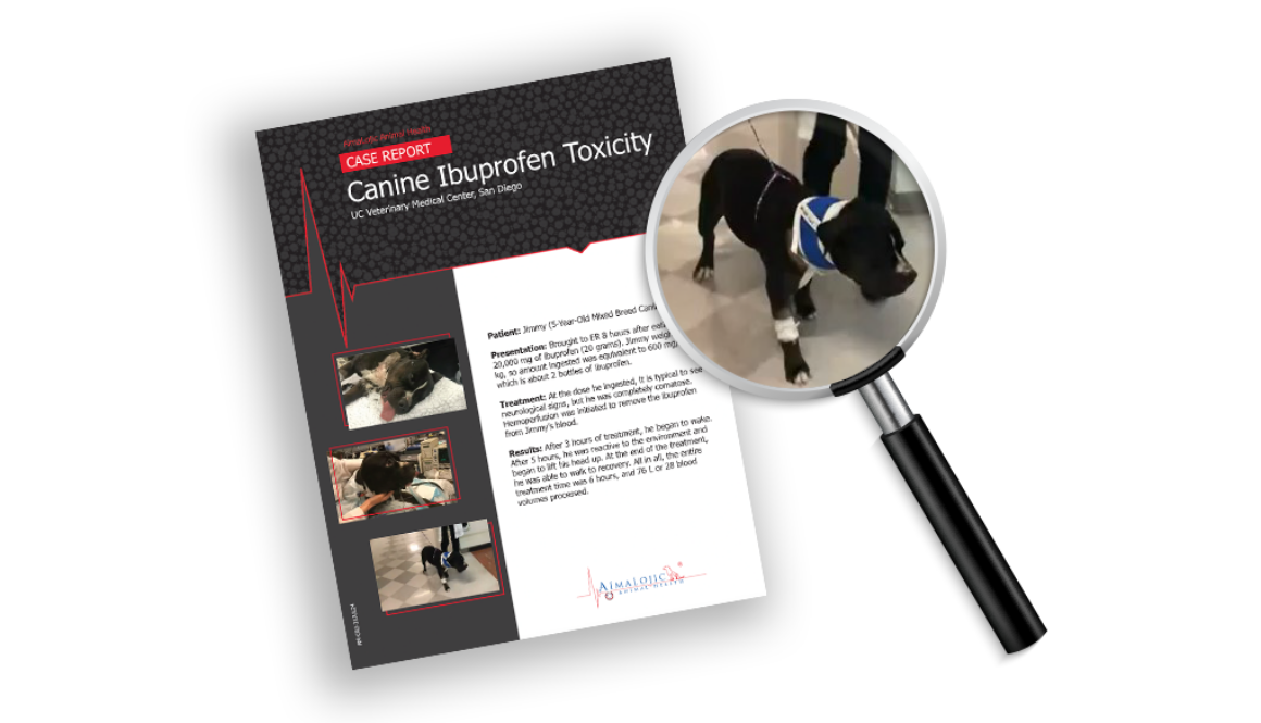 AimaLojic Blog Images_Case Report_Mixed Breed Canine Ibuprofen Toxicity