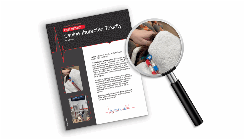 AimaLojic Blog Images_Case Report_Bernedoodle Ibuprofen Toxicity