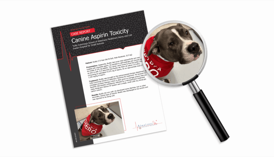 AimaLojic Blog Images_Case Report_Canine Aspirin Toxicity