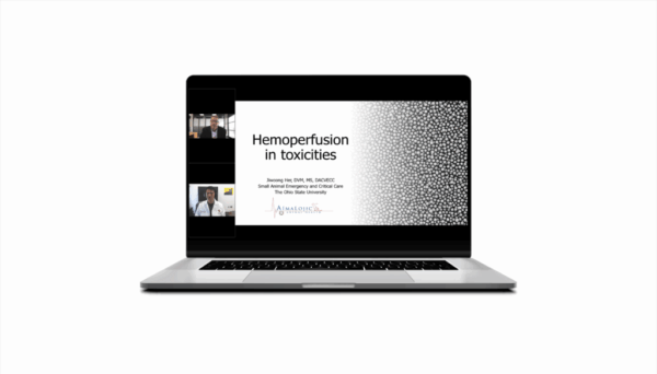 AimaLojic Blog Images_Rethinking Poisoning Protocols - Exploring the Utility of Hemoperfusion in Veterinary Practice