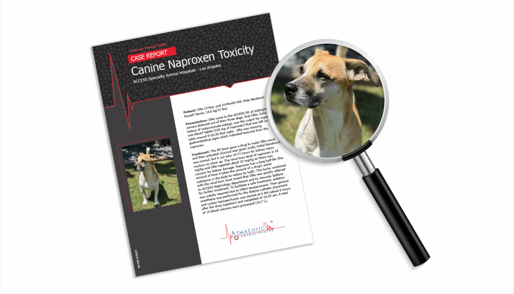 AimaLojic Blog Images__Case Report_Canine Naproxen Toxicity