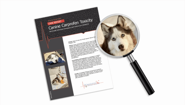 AimaLojic Blog Images_Case Report_Canine Carprofen Toxicity AimaLojic Blog Images_Case Report_Canine Carprofen Toxicity