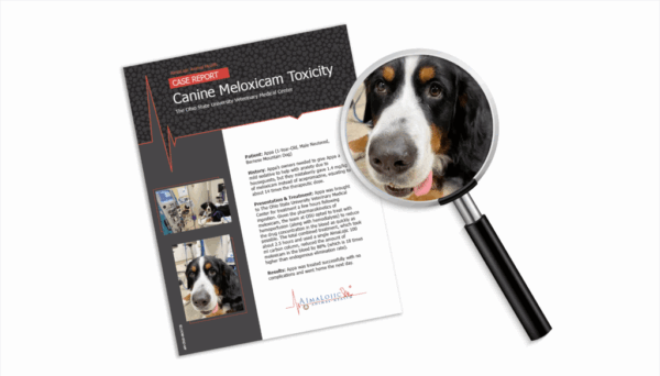 AimaLojic Blog Images_Case Report_Canine Meloxicam Toxicity AimaLojic Blog Images_Case Report_Canine Meloxicam Toxicity