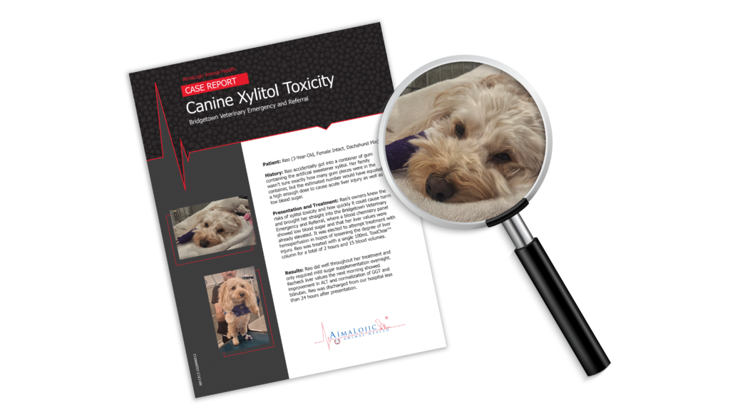 AimaLojic Blog Images_Case Report_Canine Xylitol Toxicity