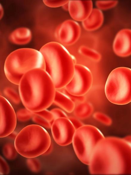 red-cells